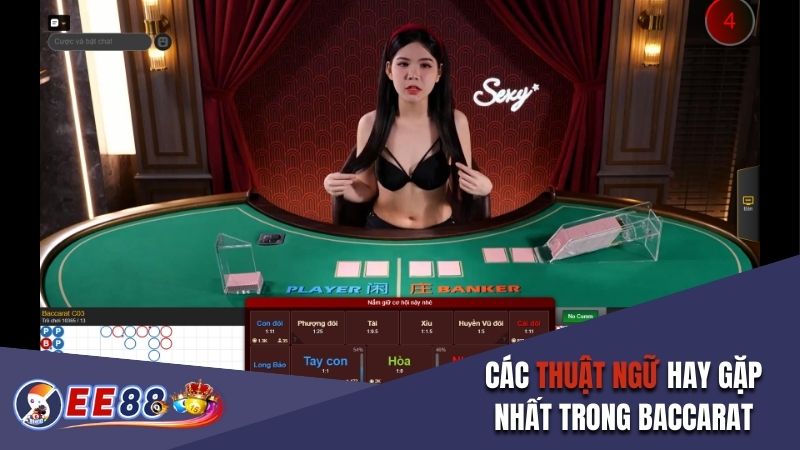 Các thuật ngữ hay gặp nhất trong Baccarat EE88