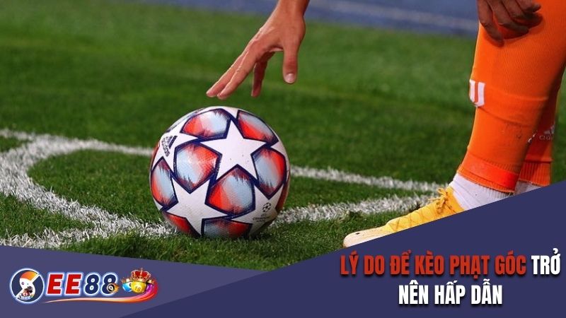 Lý do để kèo phạt góc trở nên hấp dẫn