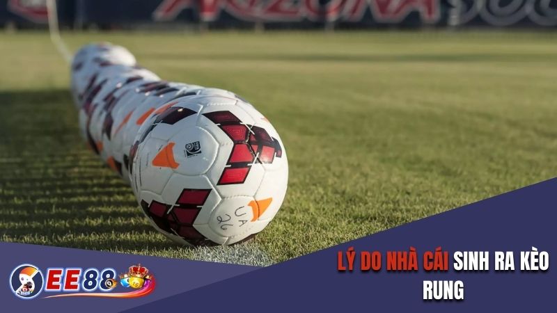 Lý do nhà cái sinh ra kèo rung
