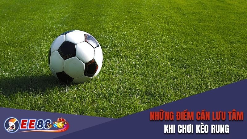 Những điểm cần lưu tâm khi chơi kèo rung